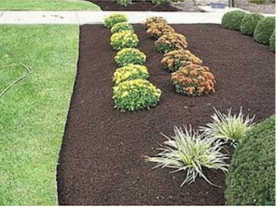 Screenshot 2026 03 17 at 10.25.27 AM